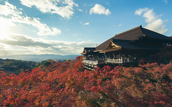 走進關西秘境．秋季楓紅與海之京都7日