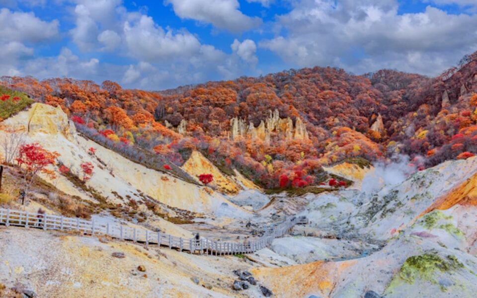 北海道紅葉季賞楓之旅8日